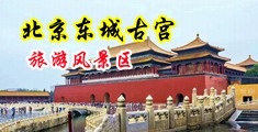 韩国少妇光屁股美女日麻逼中国北京-东城古宫旅游风景区
